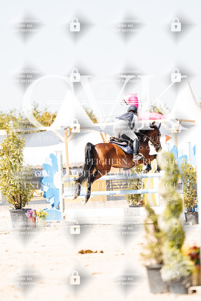CK909900 | Turnierfotografie Pferdefotografie Trier Rheinland-Pfalz Pferdesport Reitsport Tierfotografie Sportfotografie Pferdevideo Pferdevideografie Equestrianvideography equestrianphotography  - Realisiert mit Pictrs.com