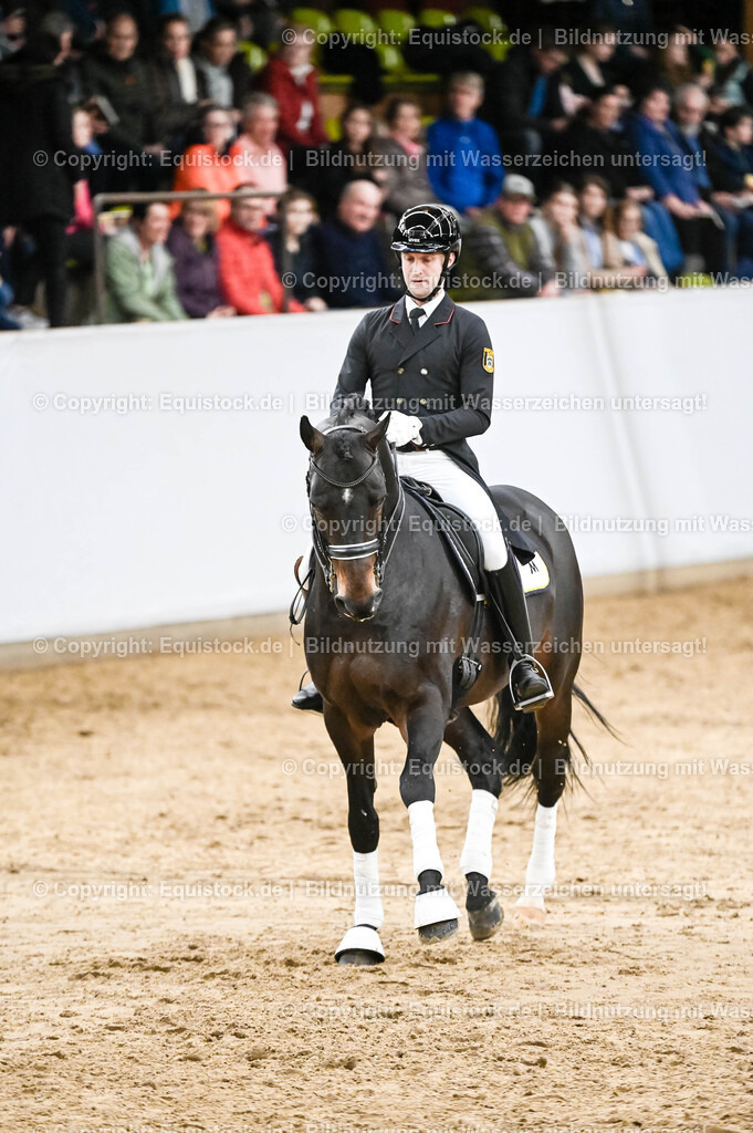 20260307_Hengstvorstellung-Marbach_0183 | equistock
