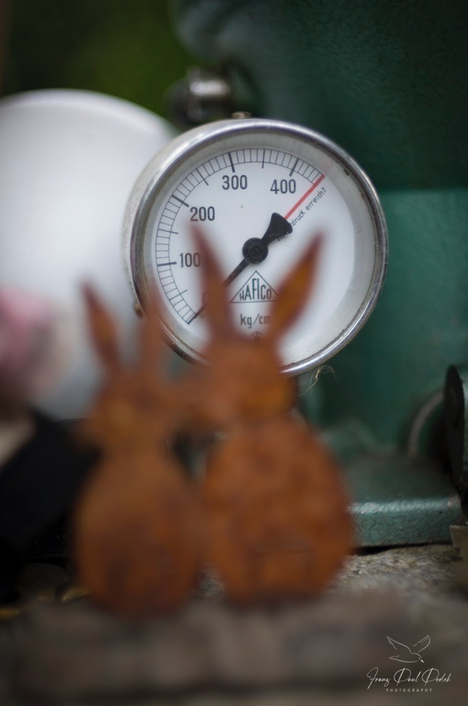 2024-08-07_15_08_40_L1007740 | Franz Podek