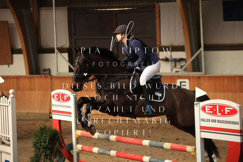 IMGT0378 | pl-fotografie