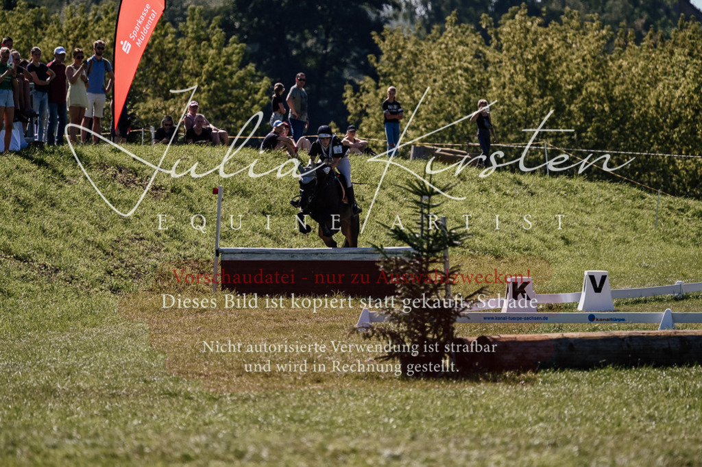 DSC_1786 | Pferde- und Turnierfotografie in Westsachsen. Pferdeportraits, Auftragszeichnungen und intuitive Kunst.
