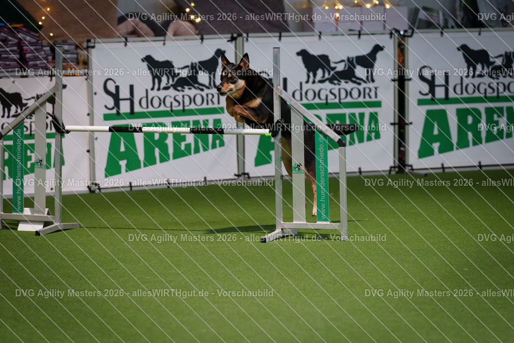 allesWIRTHgut_Tierfotografie-DVG_Agility_Masters_2026-14_59-7R501773 | Professionelle Tierfotografie in Mönchengladbach von Daniel Wirth (allesWIRTHgut). Liebevolle & natürliche Bilder von Hunden & Katzen für unvergessliche Erinnerungen.