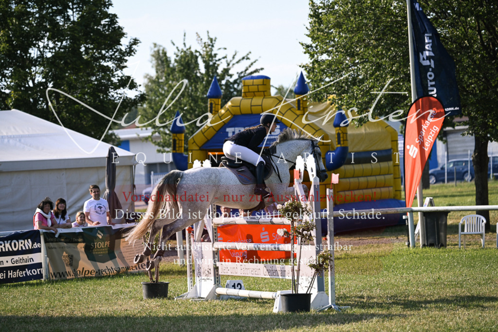 DSC_1752 | Pferde- und Turnierfotografie in Westsachsen. Pferdeportraits, Auftragszeichnungen und intuitive Kunst.