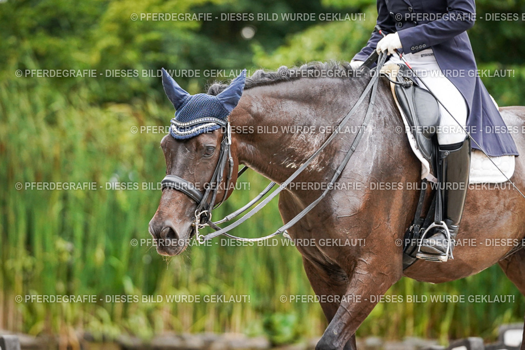 DSC07733 | Pferdegrafie