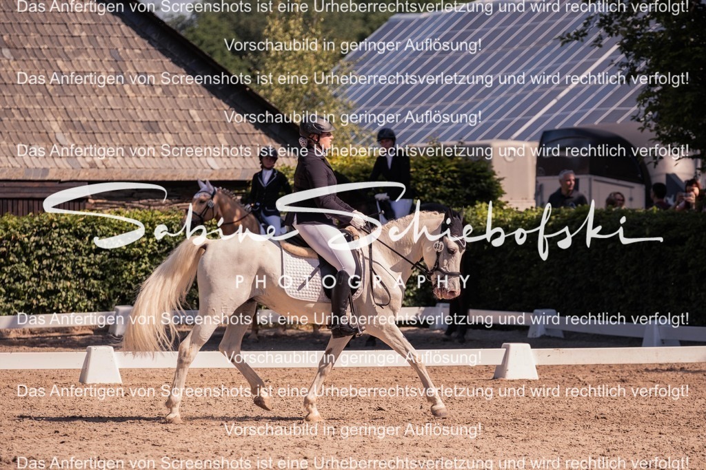 2025_05_31_DSCF3074 | People- und Tierfotografie, Imageaufnahmen, Veranstaltungsfotografie und Wandbilder aus der Natur ★ Made in Germany ✔️ Druck + Downloads ✔️ Naturfotografie in Top Qualität ★ schneller Versand, weltweite Lieferung! - Realisiert mit Pictrs.com