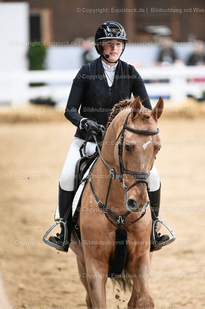20260307_Hengstvorstellung-Marbach_0150 | equistock