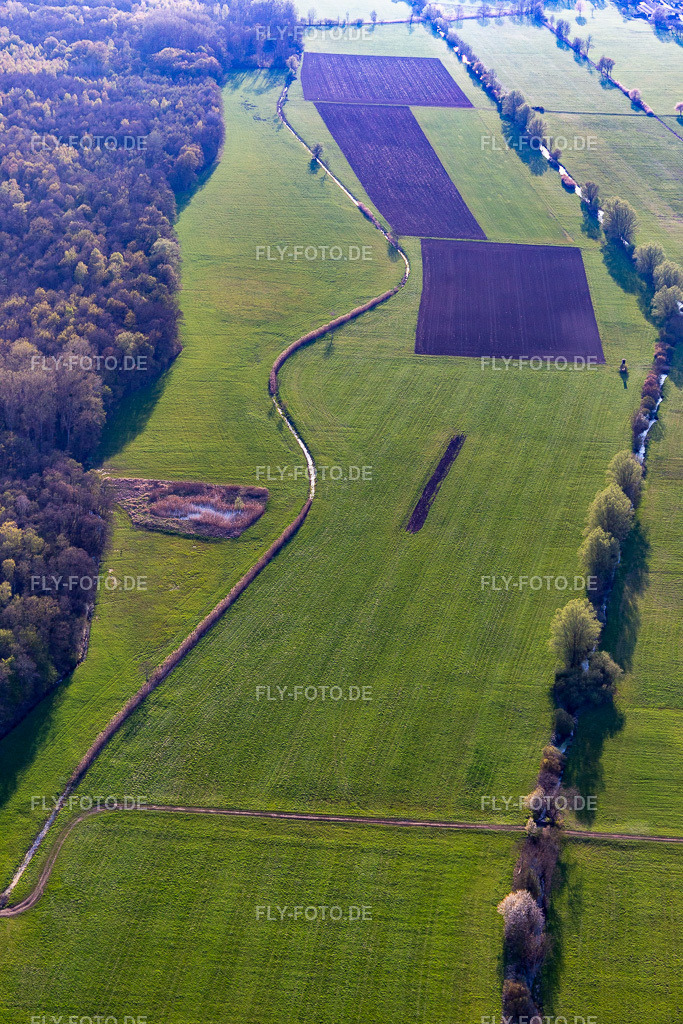 Wiesen zwischen Erlenbach und Flutgraben | Luftbild: Wiesen zwischen Erlenbach und Flutgraben in Steinweiler im Bundesland Rheinland-Pfalz in Deutschland. Foto: IMG_126509.jpg vom 20.04.2021 durch ©2025 Werner Riehm fly-foto.de/copyright - Realisiert mit Pictrs.com
