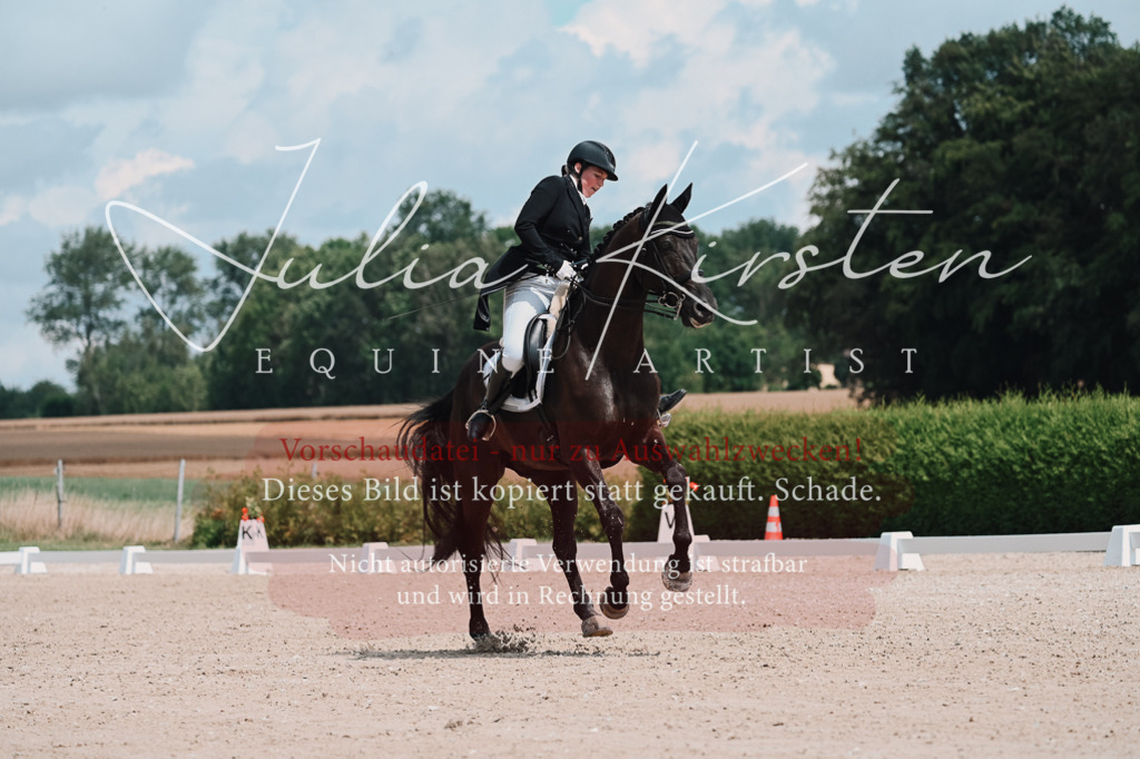 DSC_4267 | Pferde- und Turnierfotografie in Westsachsen. Pferdeportraits, Auftragszeichnungen und intuitive Kunst.