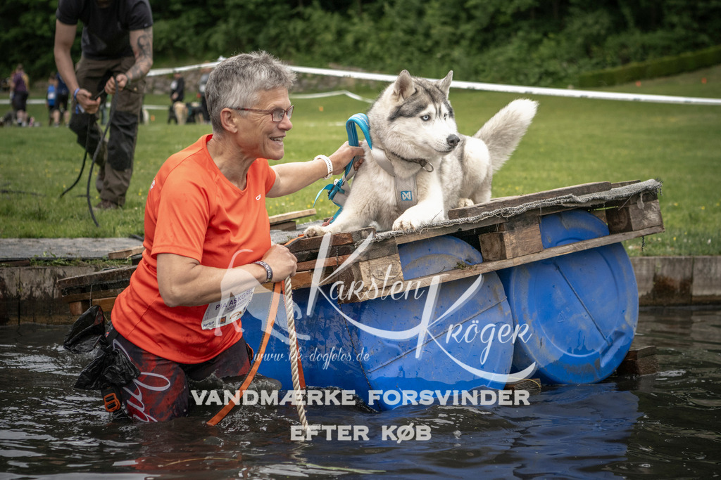 1001_ZZ93542 | kk-dogfotos