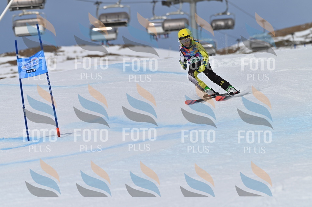 BGV_5955 | holidayphoto