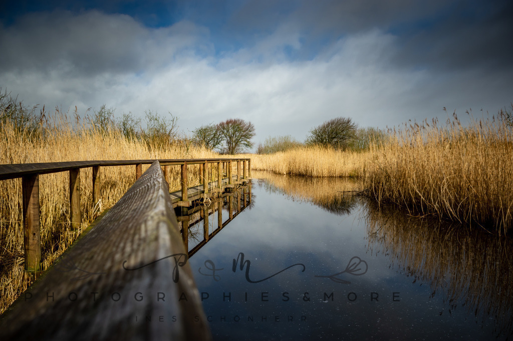 1557 | Veljerne - Realisiert mit Pictrs.com