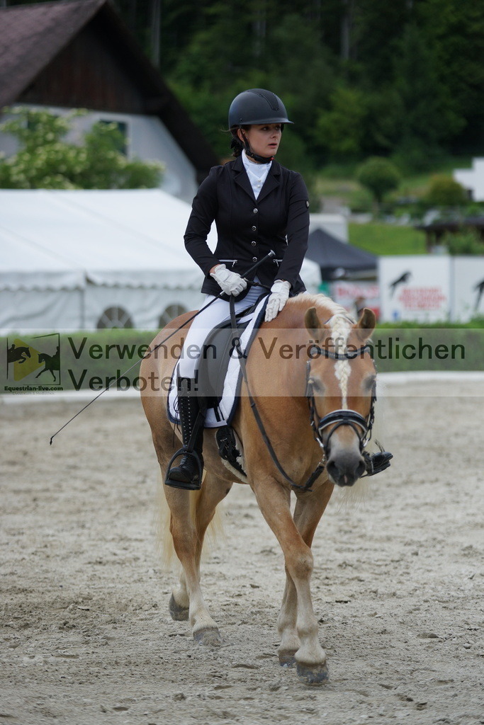 DSC05512 | equestrian-live-com