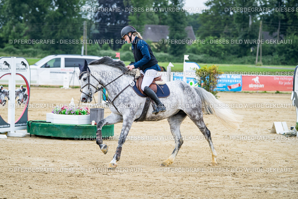 DSC03392 | Pferdegrafie