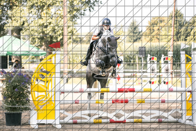 _W6A0271 | ronjaprokoschfotografie - Realisiert mit Pictrs.com