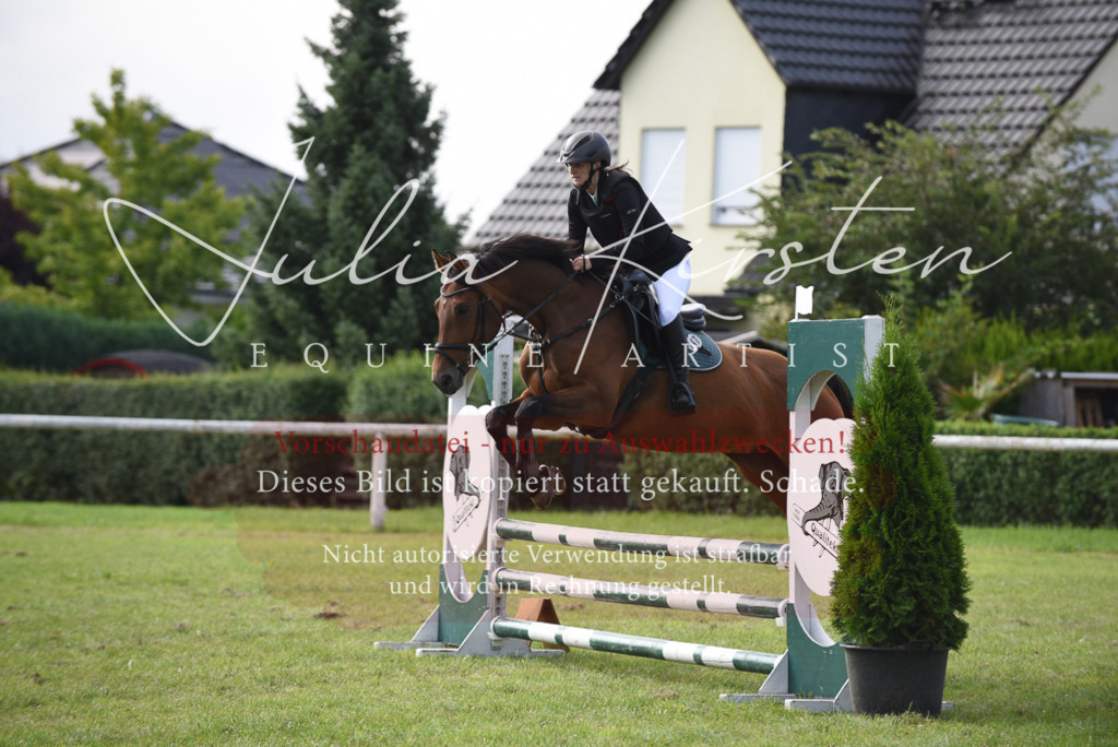 DSC_8828 | Pferde- und Turnierfotografie in Westsachsen. Pferdeportraits, Auftragszeichnungen und intuitive Kunst.