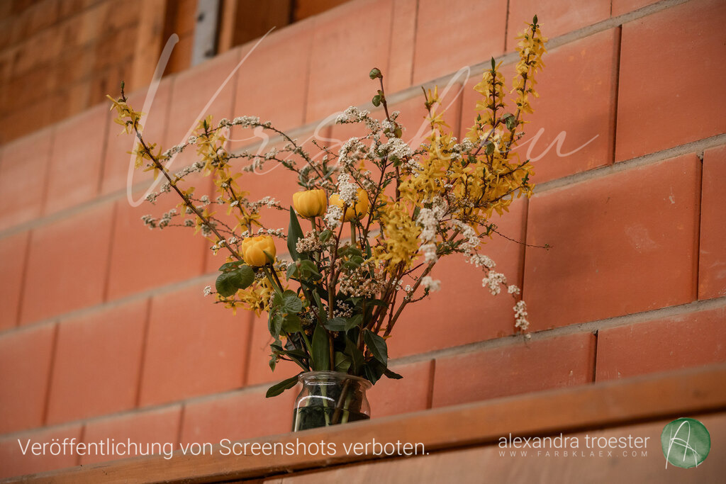 250405_Barop_00_035 | farbklaex.com