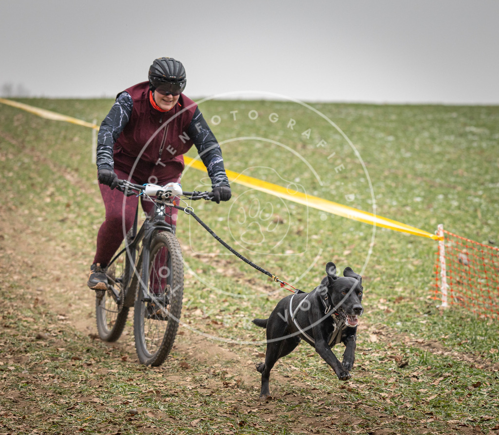 Pfotenfotografie_DV3A2917 | Hundefotografie, Tierfotograf, Pfotenfotografie, Fotoshooting Hund, Hunde Portrait, Hundesport, Hundeportraits, Heideshooting, Hunde, Sportfotograf, Hundefotograf, Turnierhundsport, THS,  - Realisiert mit Pictrs.com