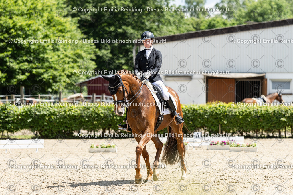 CL5A9150 | Emilia Reinking Fotografie - Realisiert mit Pictrs.com