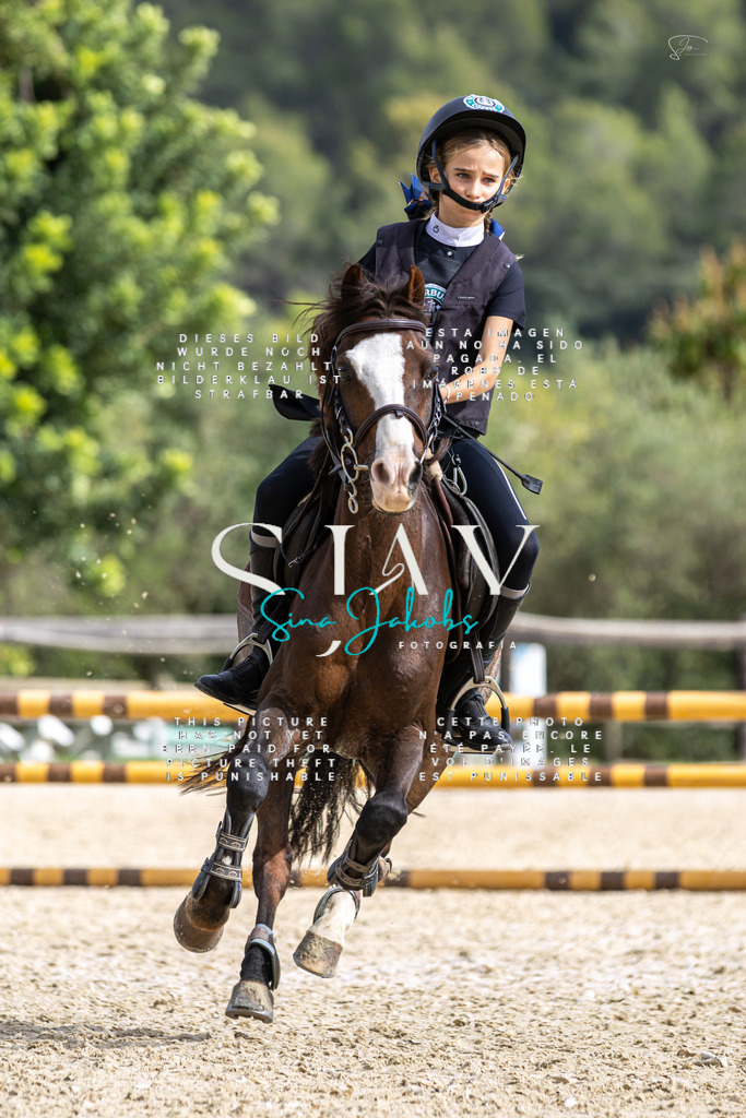 IMG_2718 | s-jay-photography - Realisiert mit Pictrs.com