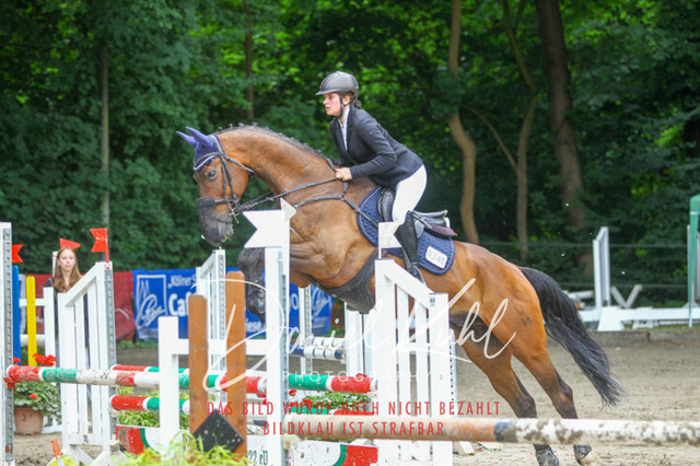 DKP45032 | Turnierfotos kaufen im Webshop von Daniel Kuhl Photography – entdecke professionelle Reitsportfotos aus Turnieren & Events. Hochwertige Turnierbilder online bestellen & sichern. Jetzt Fotos von Reitsportturnieren kaufen!