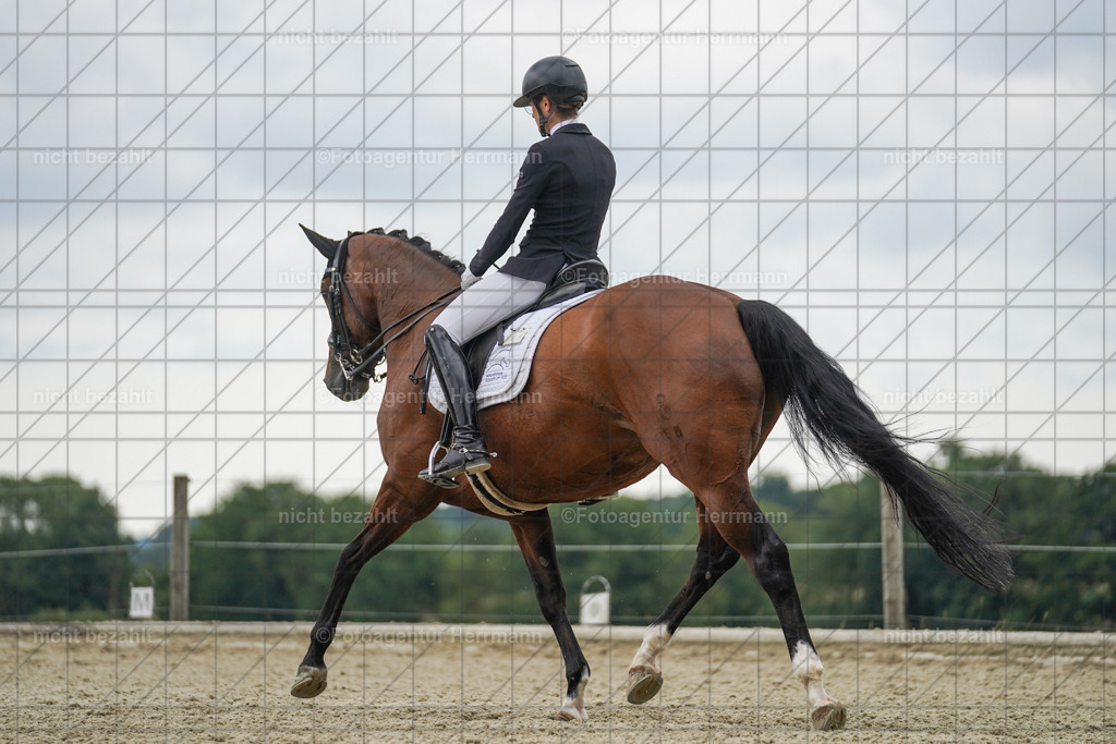 20230826-FAH06213 | Forstinning, 2023, Dressurturnier, Turniersportbilder, Turnierfotografen Bayern, Fotoagentur Herrmann, Reitsportfotografie, Turnierbilder