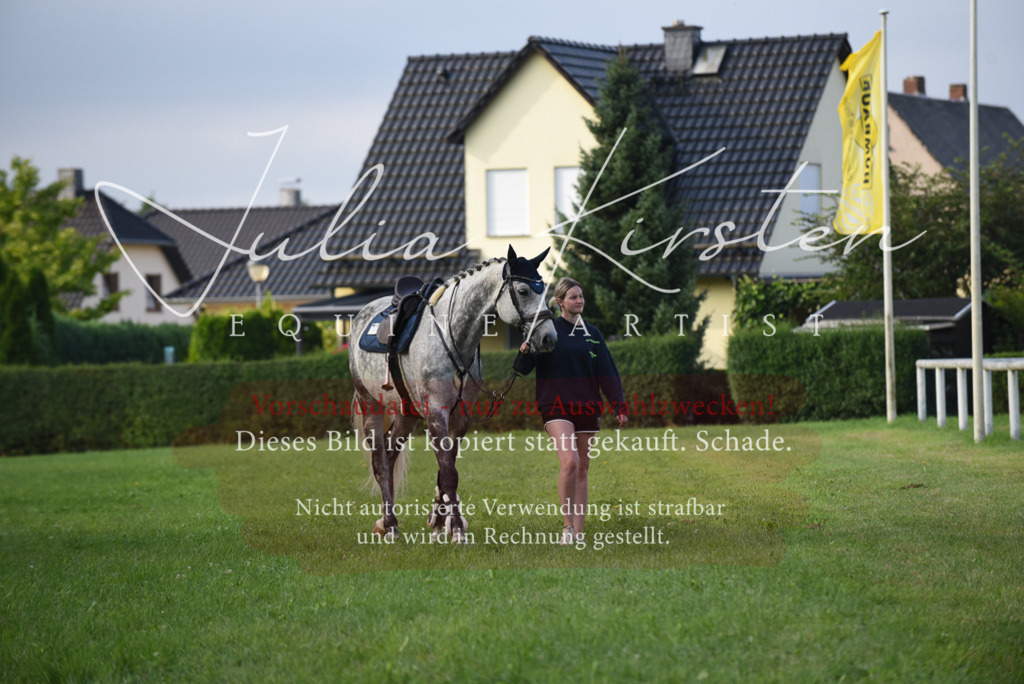 DSC_8555 | Pferde- und Turnierfotografie in Westsachsen. Pferdeportraits, Auftragszeichnungen und intuitive Kunst.