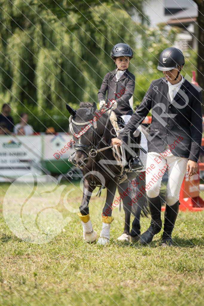 IMG_0277 | Sport-, Event- und Tierfotos in Profiqualität. Einfach auswählen, bestellen und herunterladen. Dein Moment – perfekt festgehalten.