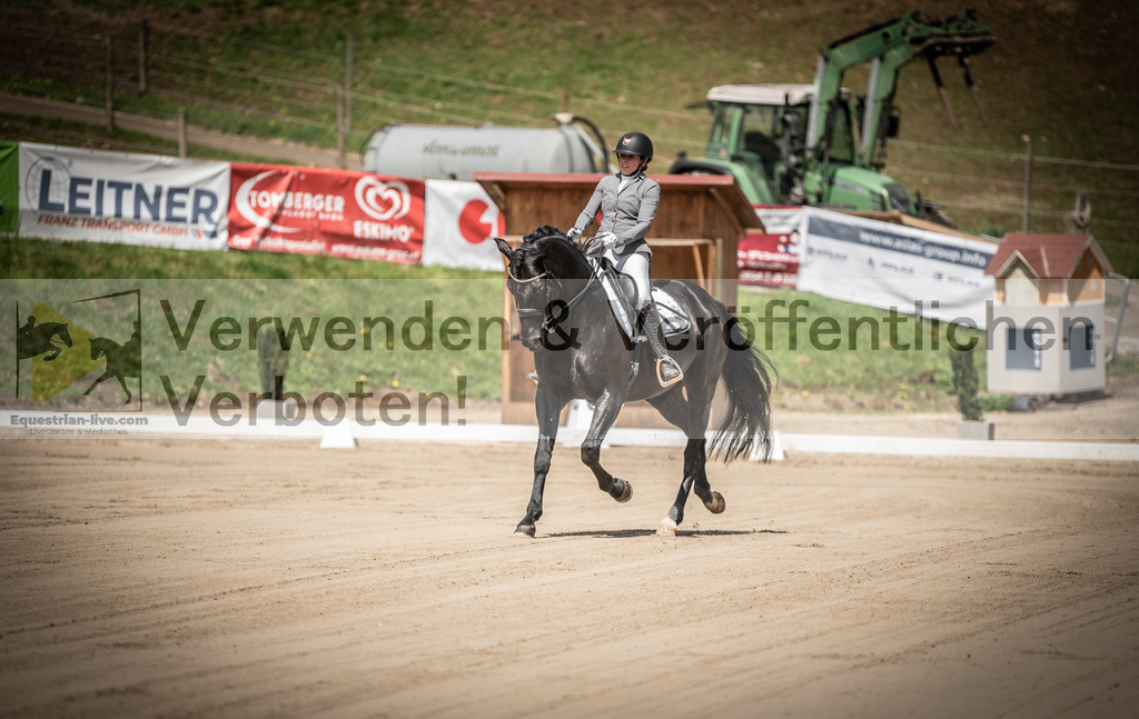 DSC_1340 | equestrian-live-com