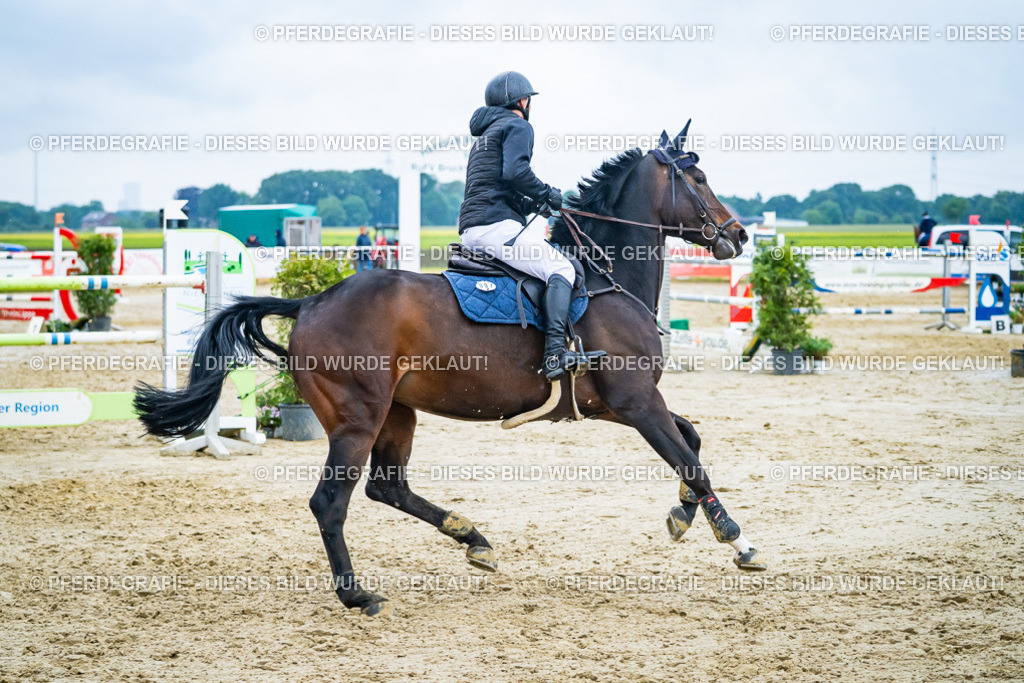 DSC00737 | Pferdegrafie