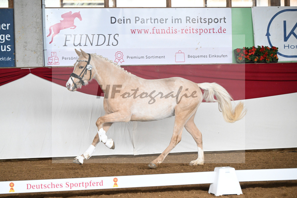Kat-Nr. 4 Golden Jackpot v. Global Champion WE_Dirlan_16250284 | hf-fotografie - Realisiert mit Pictrs.com