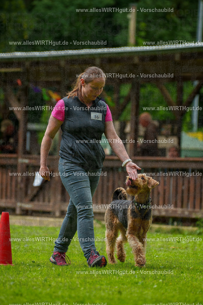 @allesWIRTHgut_Tierfotografie - www.allesWIRTHgut.de - 124010-7R509267 | Professionelle Tierfotografie in Mönchengladbach von Daniel Wirth (allesWIRTHgut). Liebevolle & natürliche Bilder von Hunden & Katzen für unvergessliche Erinnerungen.