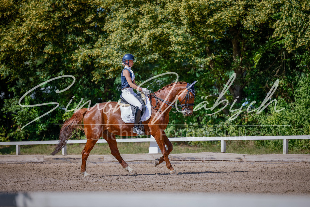 20250621-_3LI9624 | Tierfotografie Pferde, Hunde, Katzen, Haustiere.
Turnierfotografie Reitturniere, Reiten, Springreiten, Dressur in Hanau, dem Main-Kinzig-Kreis und dem Rhein-Main- Gebiet um Frankfurt