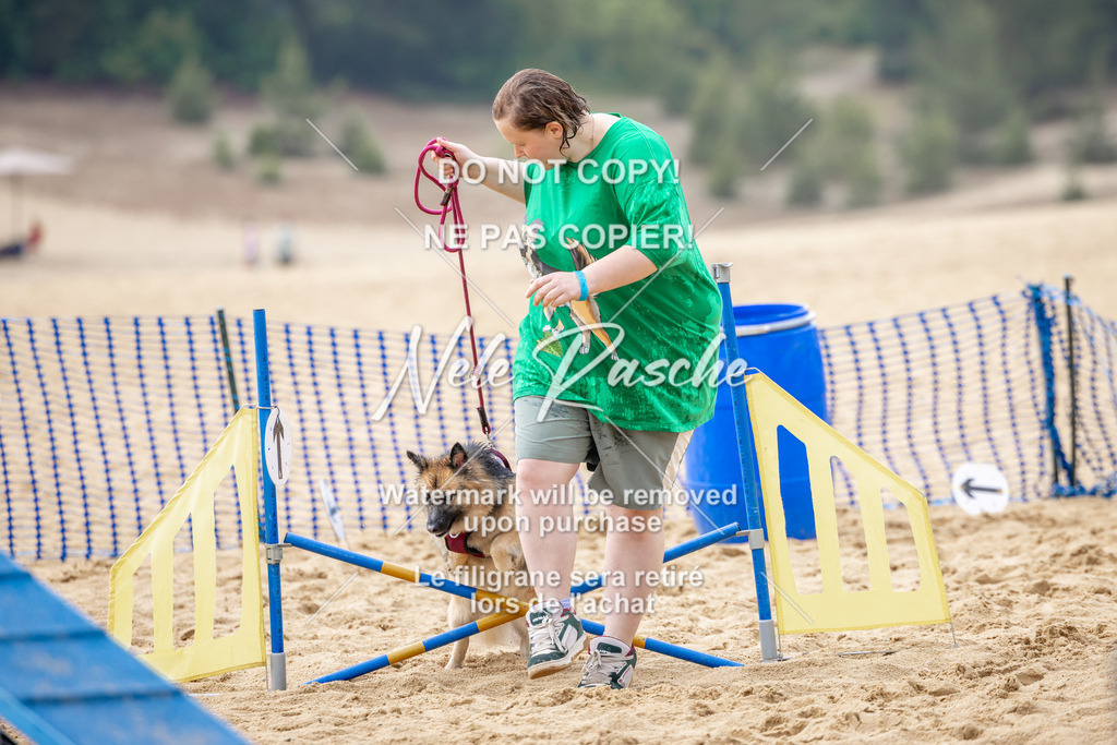nelerasche_BuHu2026_So1430-1530_211 | nelerasche