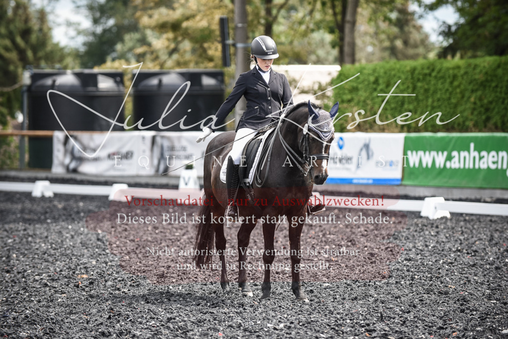 DSC_5083 | Pferde- und Turnierfotografie in Westsachsen. Pferdeportraits, Auftragszeichnungen und intuitive Kunst.