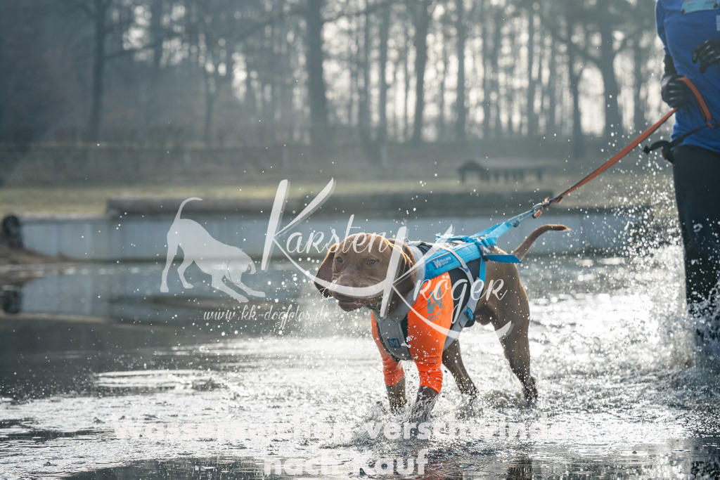 0840_ZZ97795 | kk-dogfotos