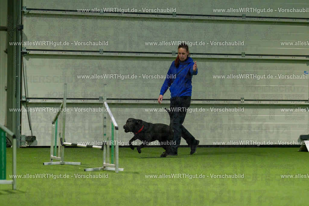 7R508452 | Professionelle Tierfotografie in Mönchengladbach von Daniel Wirth (allesWIRTHgut). Liebevolle & natürliche Bilder von Hunden & Katzen für unvergessliche Erinnerungen.