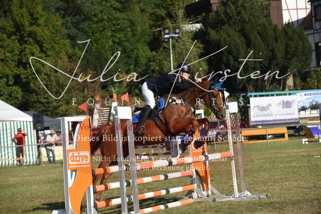 DSC_5227 | Pferde- und Turnierfotografie in Westsachsen. Pferdeportraits, Auftragszeichnungen und intuitive Kunst.