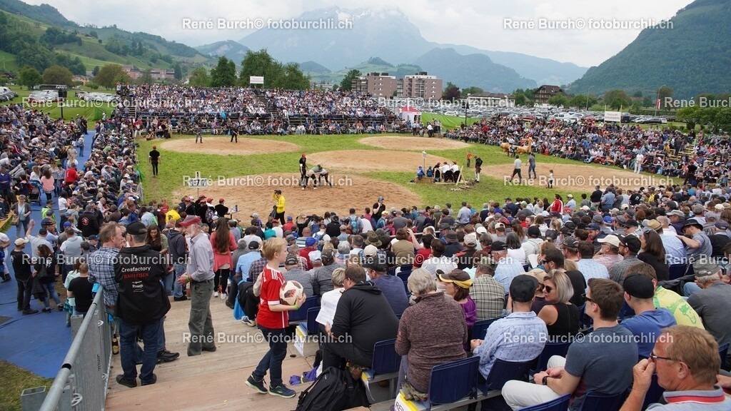 52 | René Burch leidenschaftlicher Fotograf aus Kerns in Obwalden.  Hier finden sie Sport, Landschaft und Natur Fotografie.
 - Realisiert mit Pictrs.com
