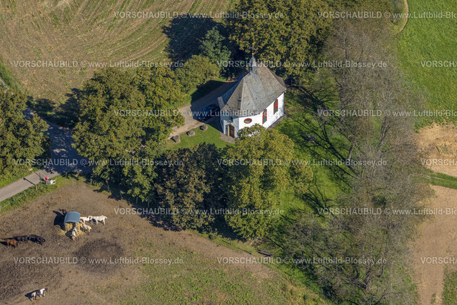 Lennestadt230909683Elspe | Luftbild, Vituskapelle, Pferdekoppel, Elspe, Lennestadt, Sauerland, Nordrhein-Westfalen, Deutschland