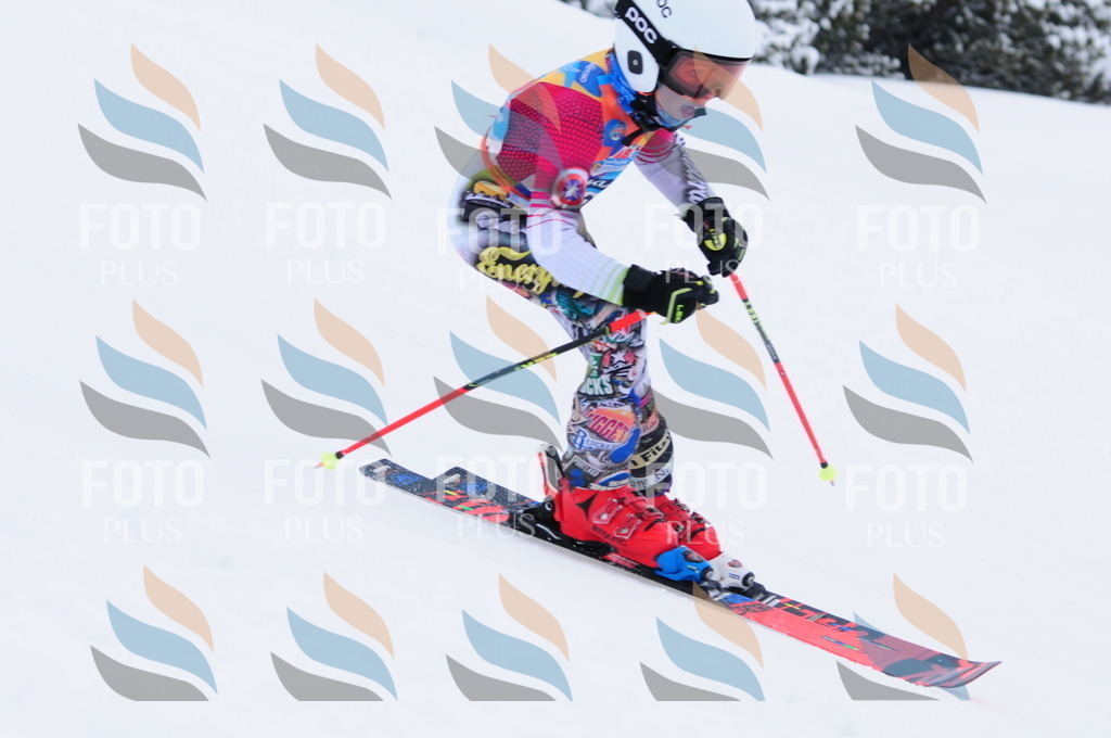 C3405 | holidayphoto