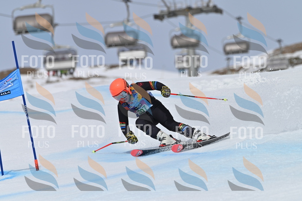 BGV_4005 | holidayphoto