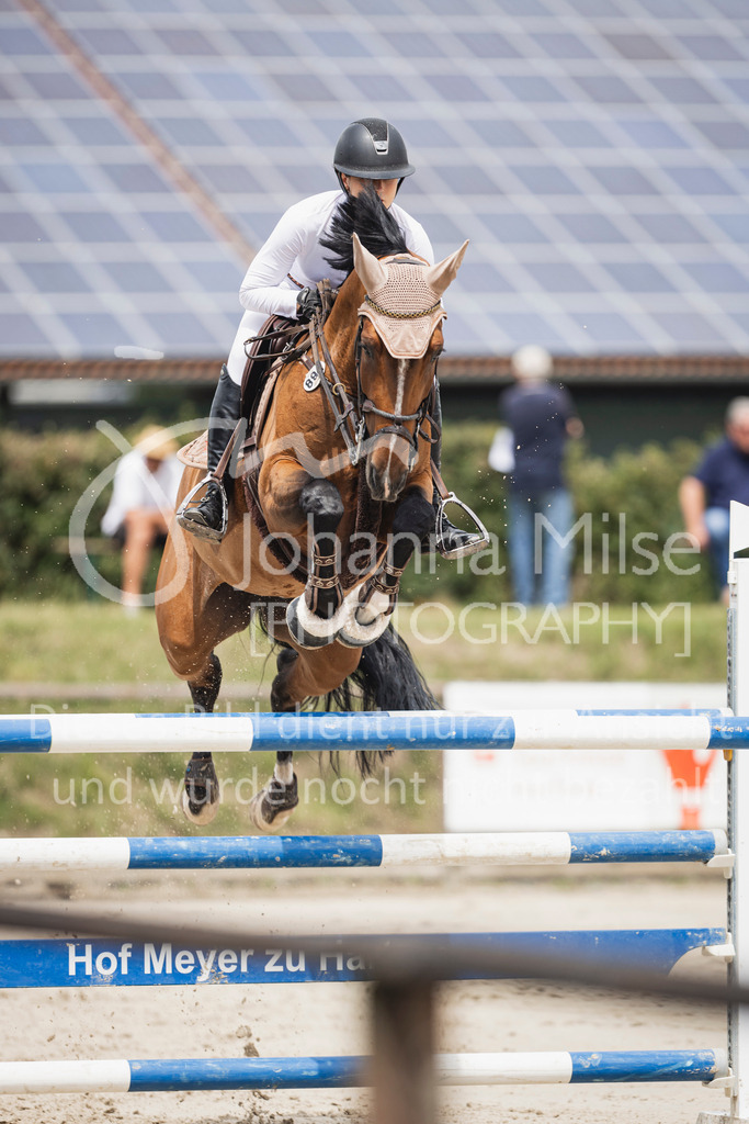 250628_PfSpTa_Youngster-S-421 | Deine schönsten Turniermomente als professionelle Fotos! Entdecke hochwertige Pferdesport-Fotografie im Online-Shop. Jetzt Fotos finden & bestellen!