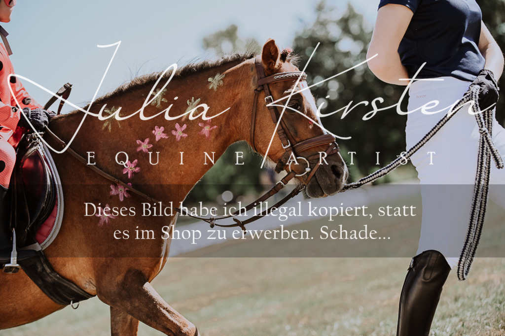DSC_8881 | Pferde- und Turnierfotografie in Westsachsen. Pferdeportraits, Auftragszeichnungen und intuitive Kunst.