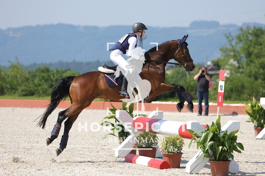 0P6A7860 | Willkommen bei Brunnmayr - Design & Fotografie – Ihrem Spezialisten für Reitturniere und Pferdeveranstaltungen in Oberösterreich, Salzburg und Bayern! Seit über 17 Jahren sind wir leidenschaftlich dabei.