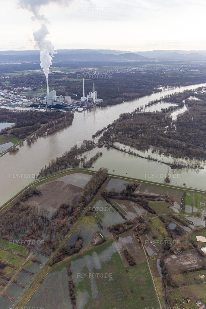 Luftbild: Auen und- Wiesen- Landschaft am Hagenbacher Altrhein vor der Insel Nauas mit Goldgrund bei Rhein-Hochwasser in Maximiliansau im Ortsteil Maximiliansau in Wörth im Bundesland Rheinland-Pfalz in Deutschland. Foto: IMG_124260.jpg vom 04.02.2021 durch Werner Riehm/FLY-FOTO.de