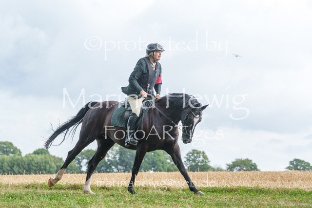 Jagd Knoop 26_MarinaHewigMCH02638 | Fotografie, FotoArt, PferdesportArt, Pferdesportfotografie, Landschaftsfotografie, Reisefotografie, Reise, Pferde - Realisiert mit Pictrs.com