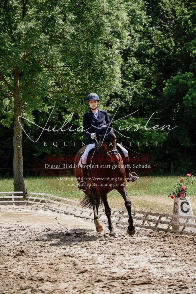 DSC_1440 | Pferde- und Turnierfotografie in Westsachsen. Pferdeportraits, Auftragszeichnungen und intuitive Kunst.