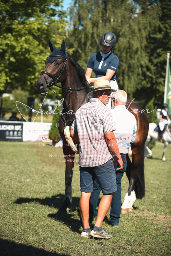 DSC_7316 | Pferde- und Turnierfotografie in Westsachsen. Pferdeportraits, Auftragszeichnungen und intuitive Kunst.