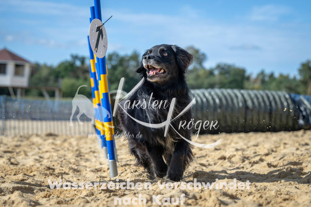 1437_ZZ91775 | kk-dogfotos