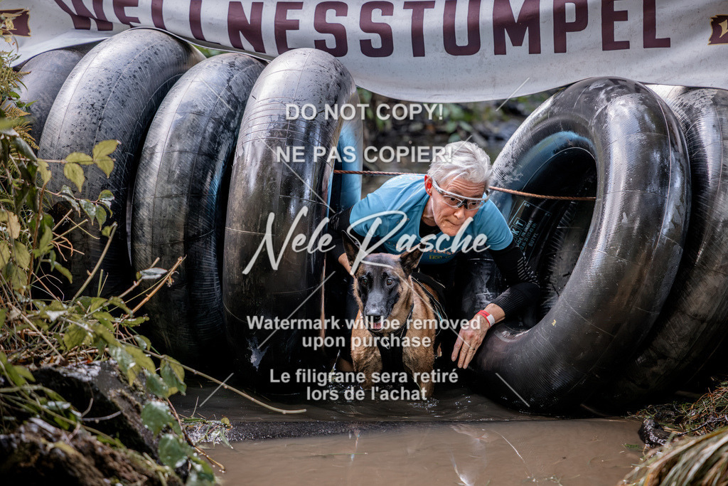 nelerasche_Hunsrück2026_Sa1400-1500_106 | nelerasche